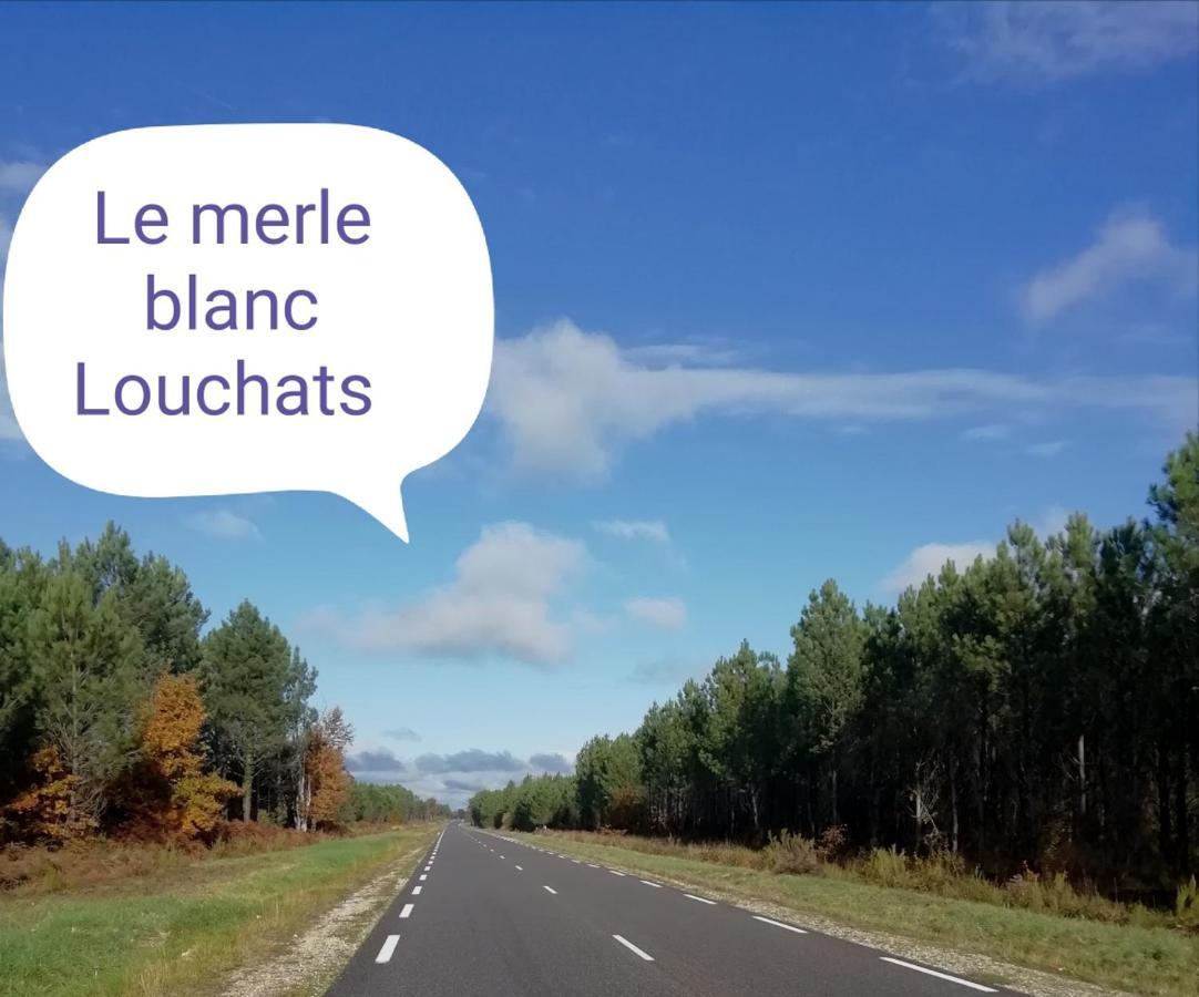 Le Merle Blanc Louchats酒店 外观 照片